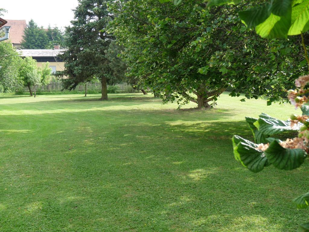 Ferienhaus Muehlblick Oberdachstetten Room photo